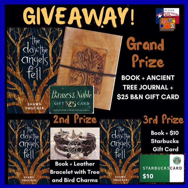 Giveaway Image The Day the Angels Fell