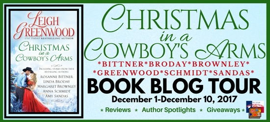 BNR Christmas in a Cowboy's Arms JPG.jpg